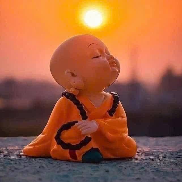 Rồi mai buông hết ta về đất