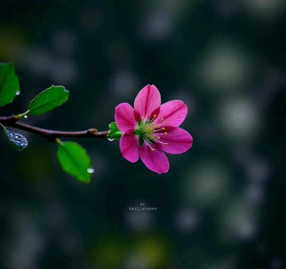 Chuyển hóa nỗi sợ quá khứ