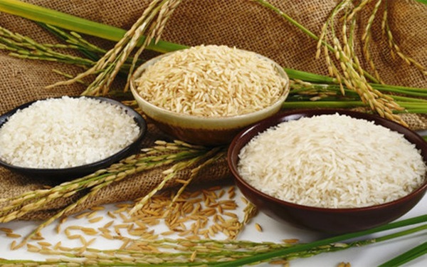Gạo vẫn là gạo