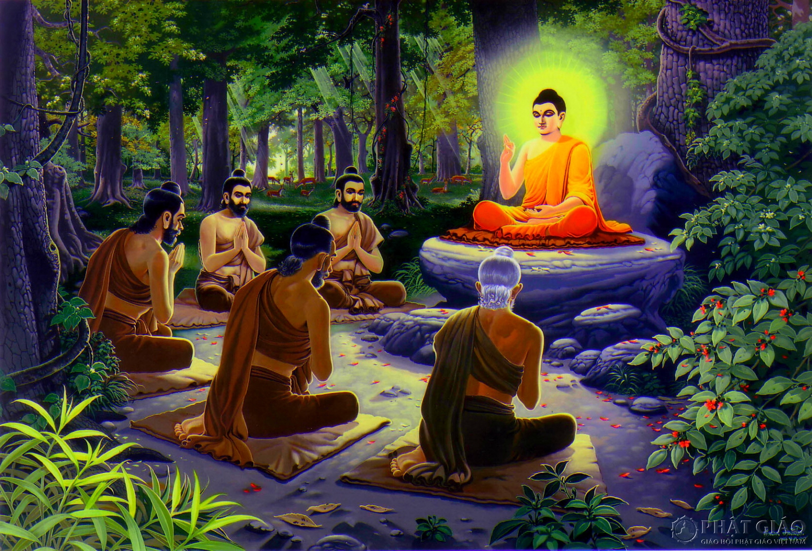 Tu chuyển ba nghiệp là căn bản Phật pháp