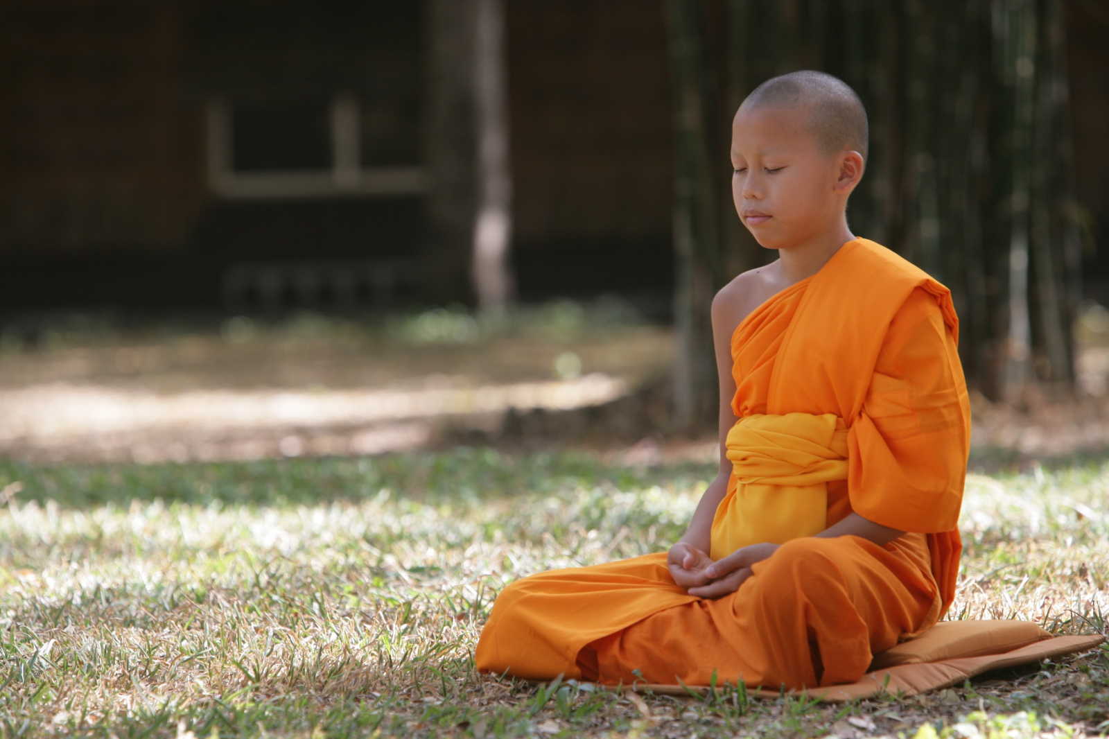 Thiền giúp tăng cường khả năng miễn dịch