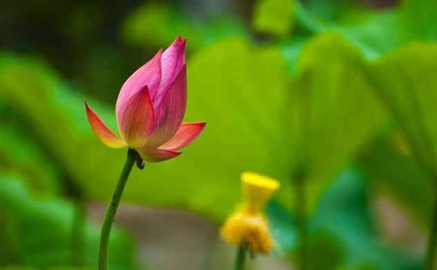 3 sai lầm trong cuộc sống mà bạn cần tránh