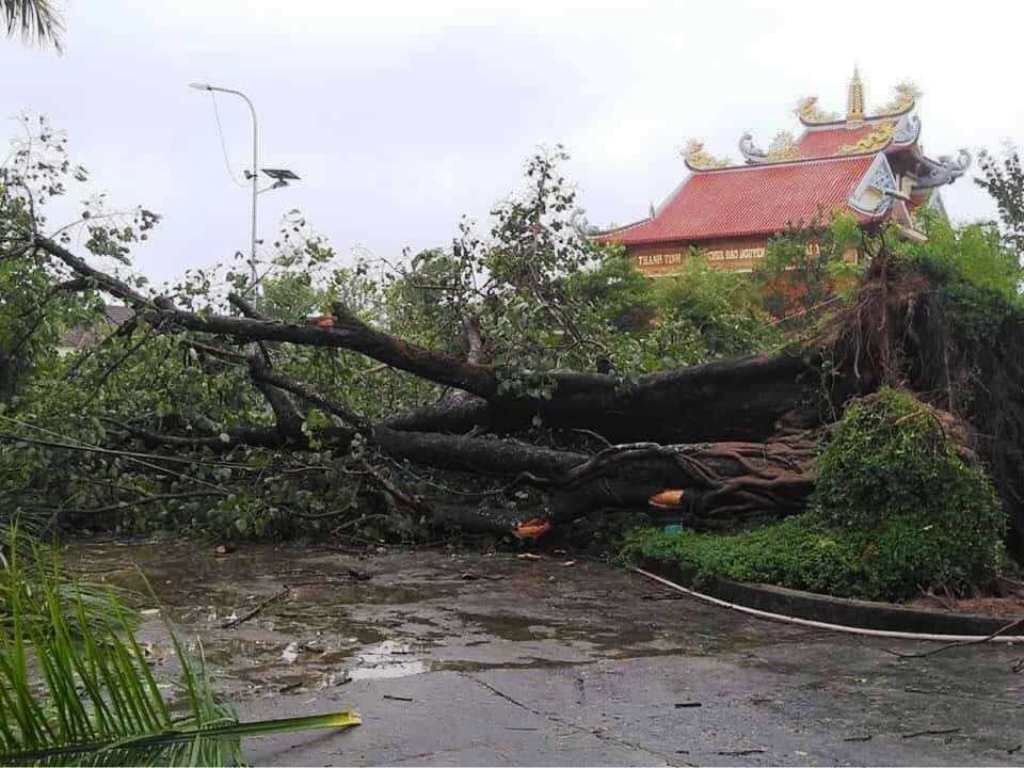 Quảng Nam: Nhiều chùa bị hư hại sau bão số 9