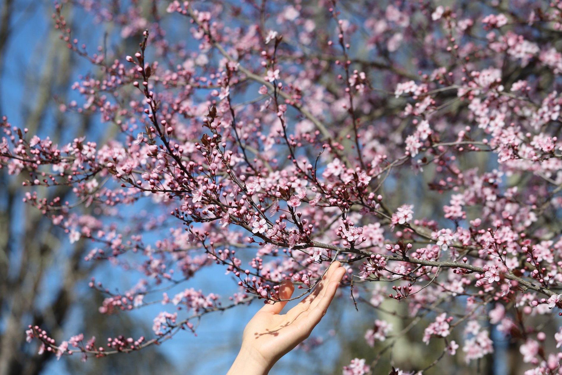 Khi tâm an tĩnh, phước báu tự sinh