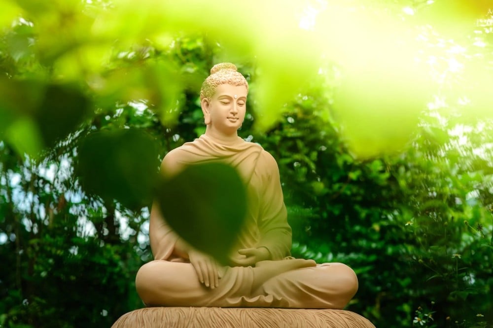 Ngồi nhìn Phật