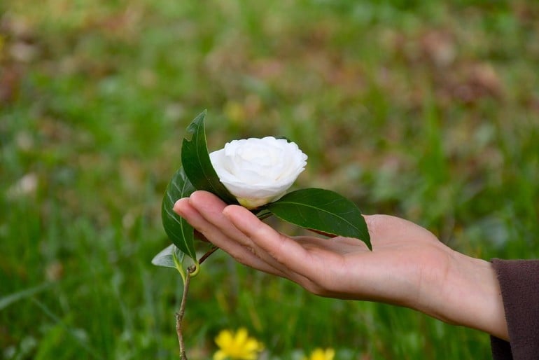 Đau bệnh dạy ta sống