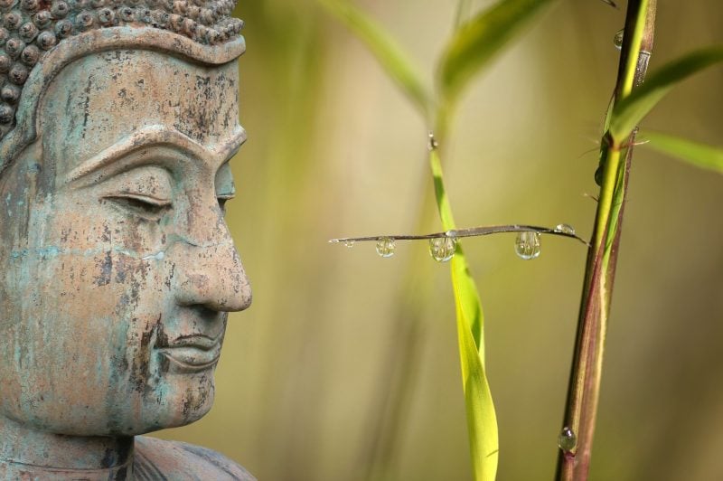 Được tài lợi mà không phóng dật là hiếm có