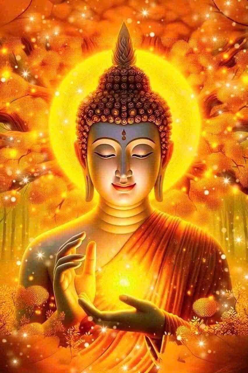 Bạn trốn đi đâu