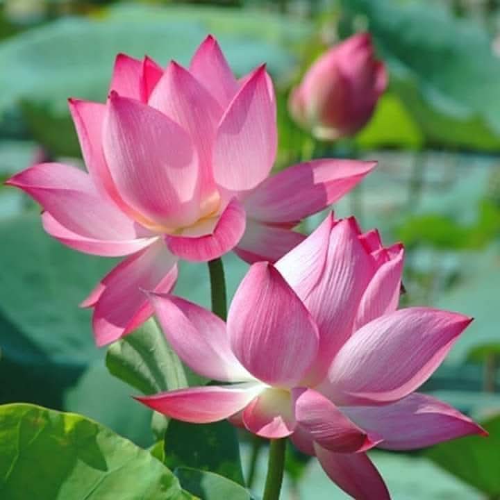 Trong cơn giận, ta quên mất nhau