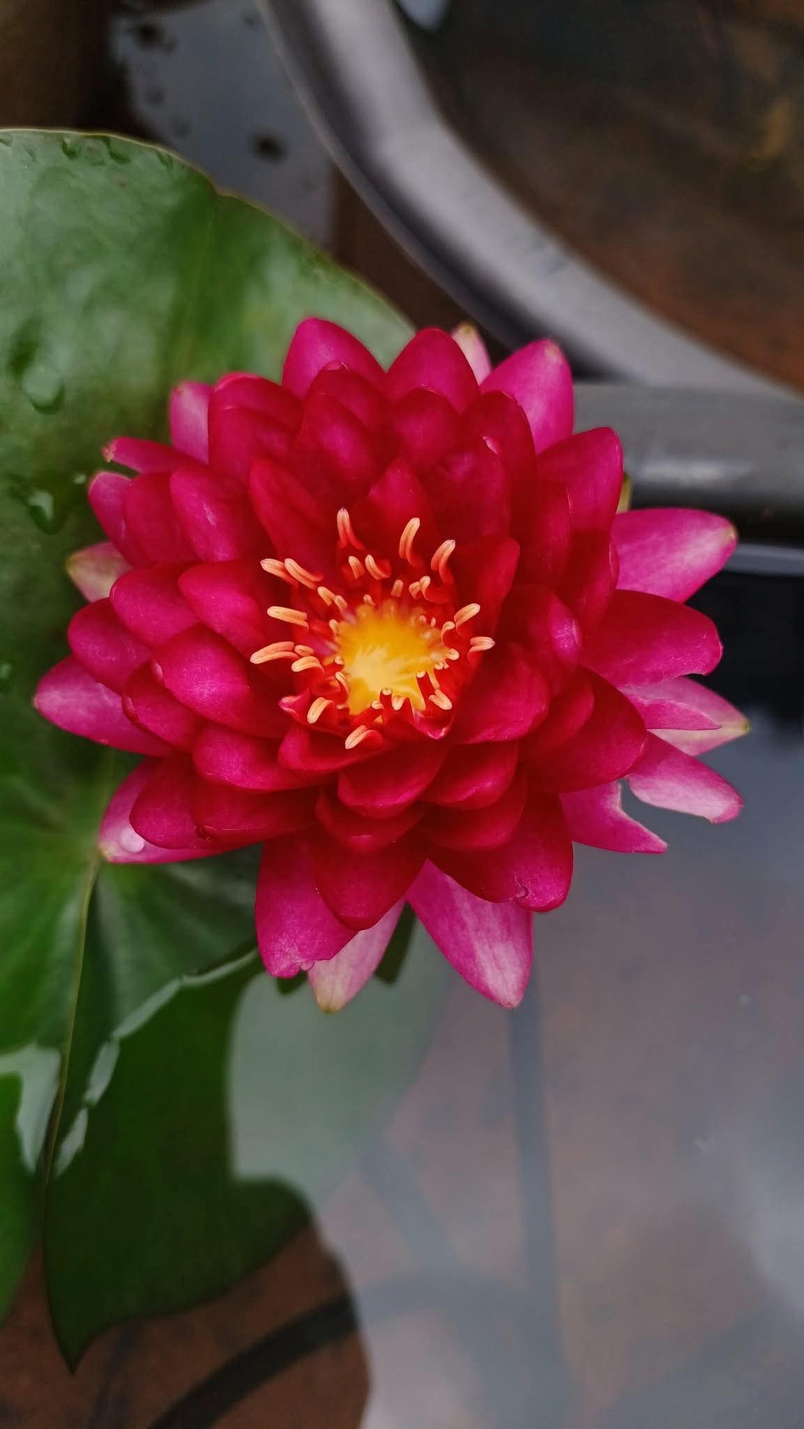 Người hay biết ơn