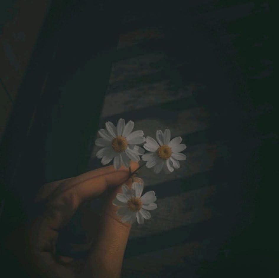 Nhìn sâu vào chính ta