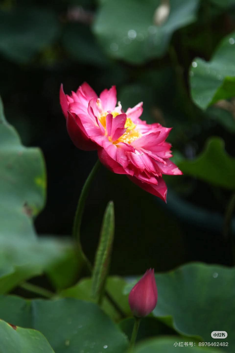 Học yêu thương mình