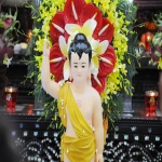 Chùm ảnh lễ tắm Phật PL 2559 DL 2015 tại Chùa Bửu Đà
