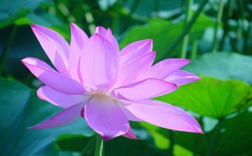 Trước Khi Ánh Chiều Tàn
