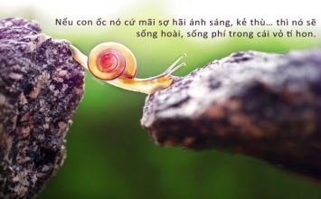 Thích than thở