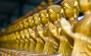 Luận về sự cảm ứng