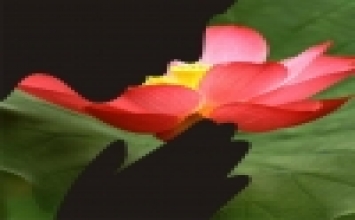 Gia tài thực sự