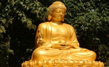 Phật dạy “Chớ ngủ hai đêm, dưới cùng một gốc cây”