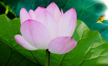 Khó dễ trong đời