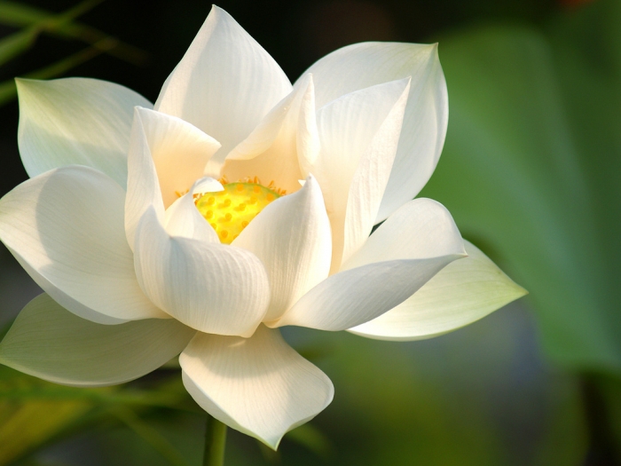 Ba triết lý sâu sắc của Phật giáo giúp chúng ta có cuộc sống an nhiên