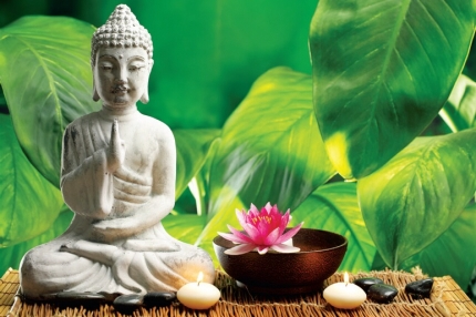 Cái túi của sự hận thù