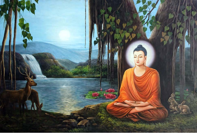 Thiền Vipassana chính xác là gì?