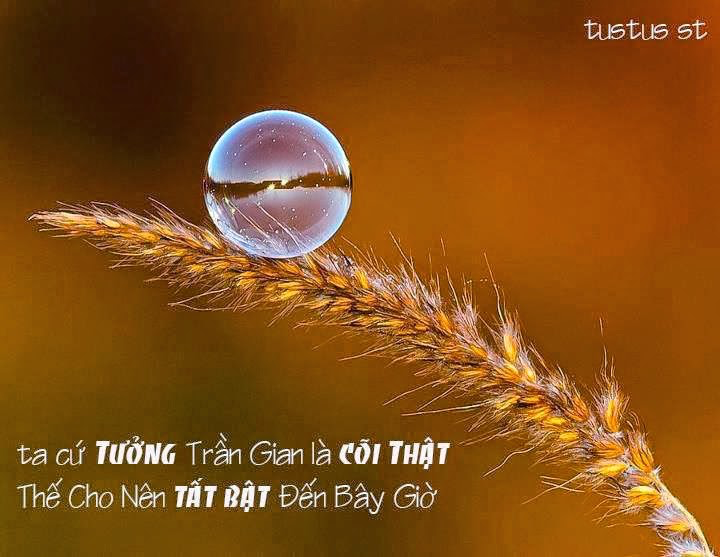 Để lại cho đời