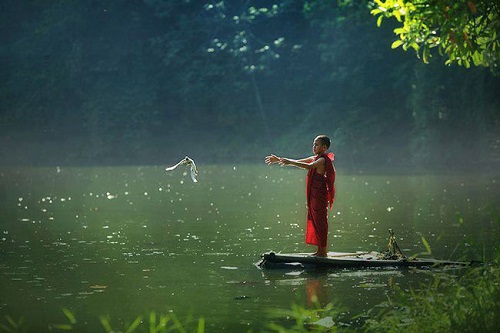 Chính mình là nội tâm an tĩnh