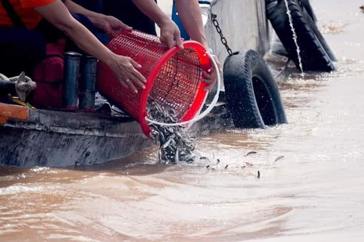  Phóng sanh và sự nhiệm mầu chuyển nghiệp