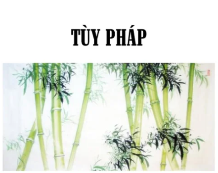 Tùy pháp