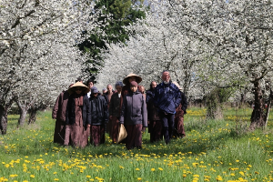 Lắng nghe sâu