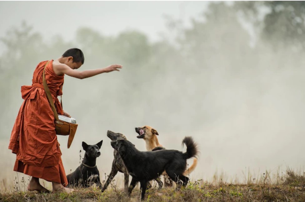 Thực hành khiêm tốn, lễ phép để tránh ác nghiệp