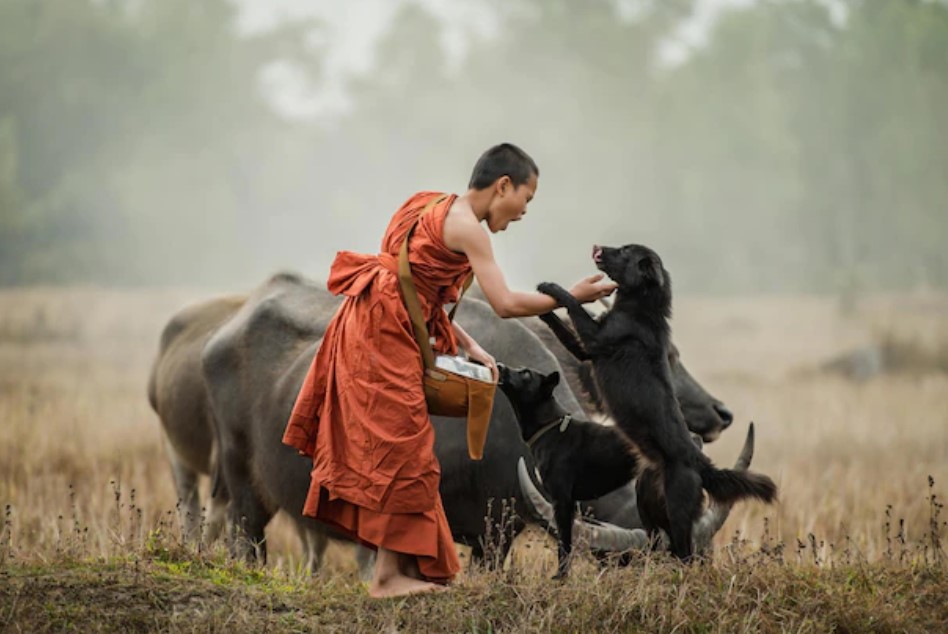 Đời sống từ bi