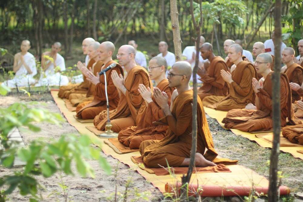 Phật dạy: “Các Tỳ kheo nên thường học Pháp thí”