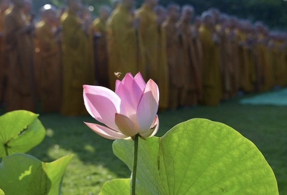 Bài học về lòng yêu thương