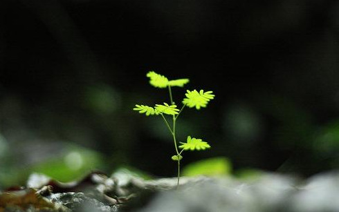 Vô thường là một chân lý