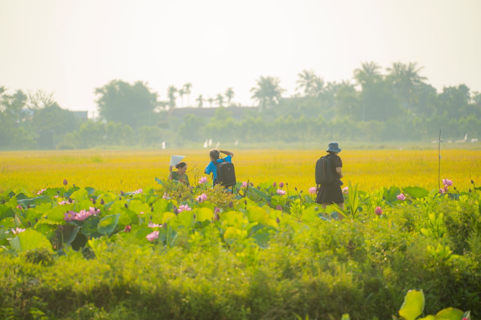 Hiện tại không có an lạc, hạnh phúc, đợi đến khi nào mới có?