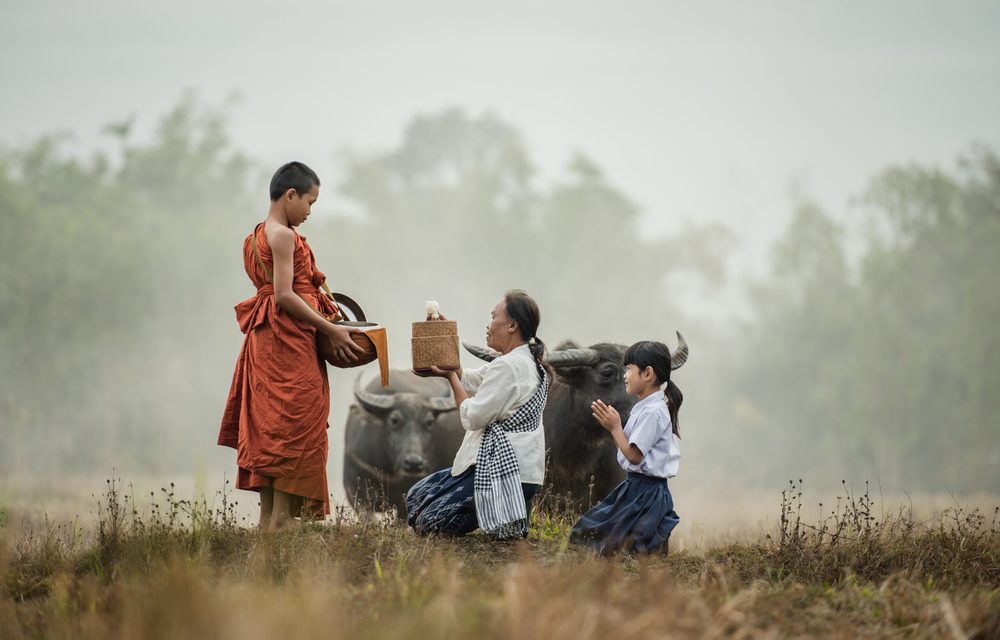 Đừng tưởng