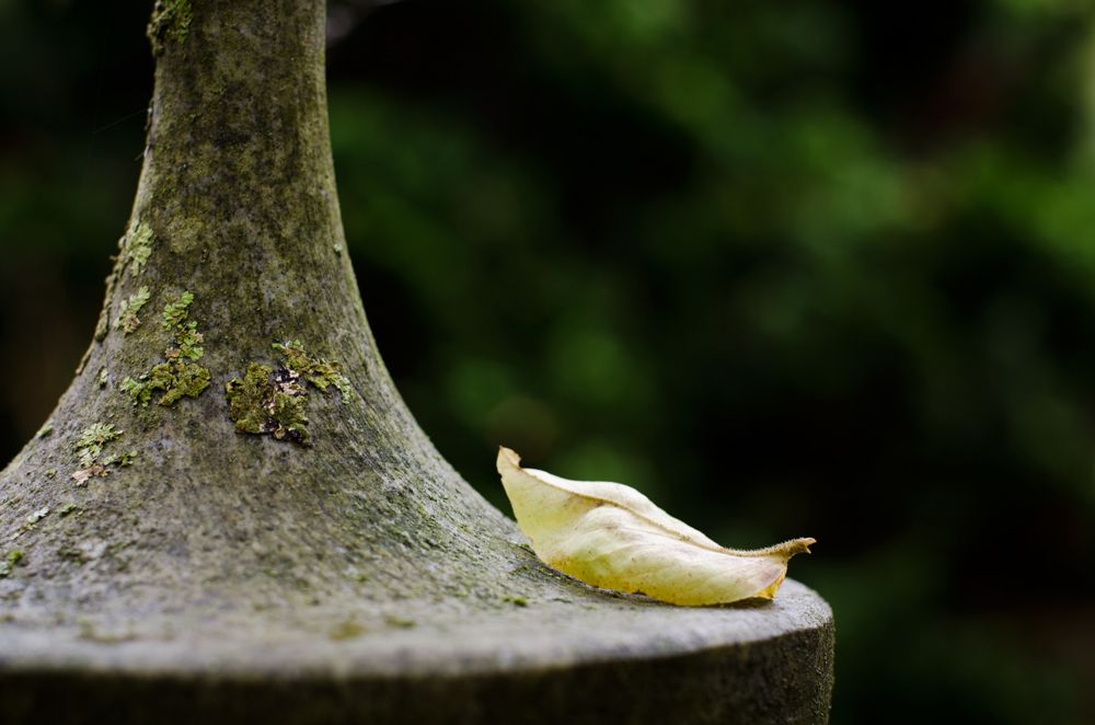 Sóng gió cuộc đời nuôi ta lớn