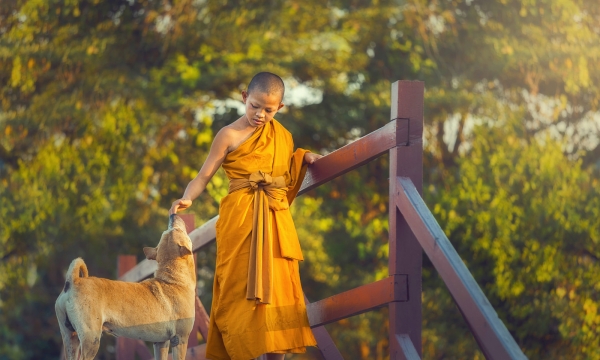 Cứ sống cho thật tốt