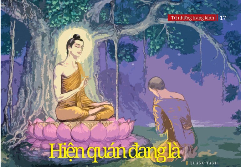 Hiện quán đang là