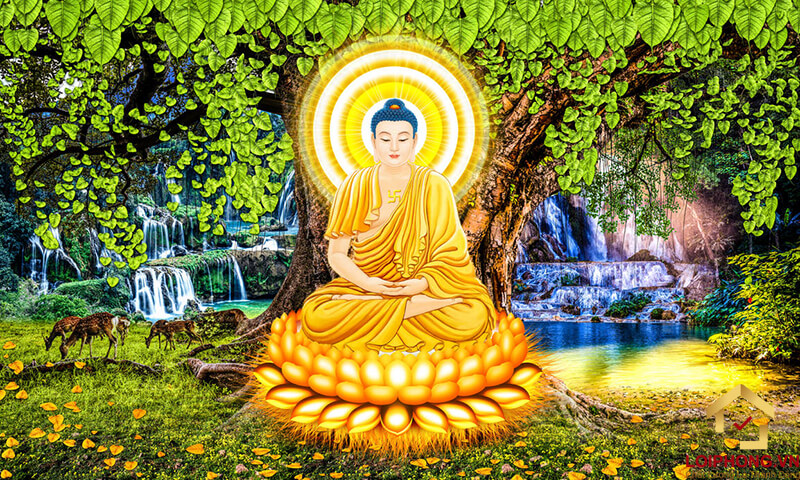 Treo hình Phật trong nhà nhưng không tụng kinh niệm Phật thì có ảnh hưởng gì không?