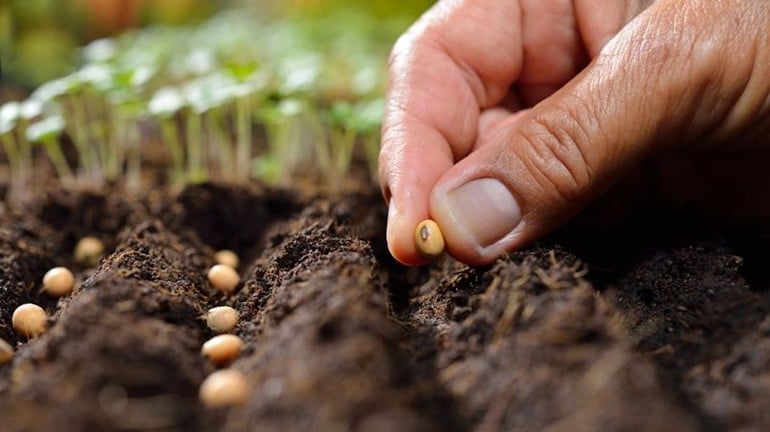 Người trẻ sống bằng tương lai, người già sống bằng quá khứ