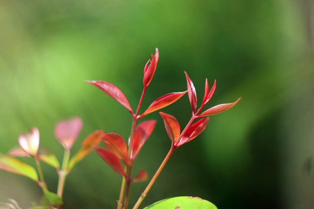 Dễ khó trong cuộc đời