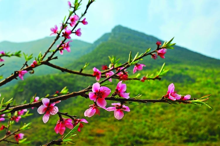 Tết vốn là dịp để nghỉ ngơi, không nên biến thành tất bật