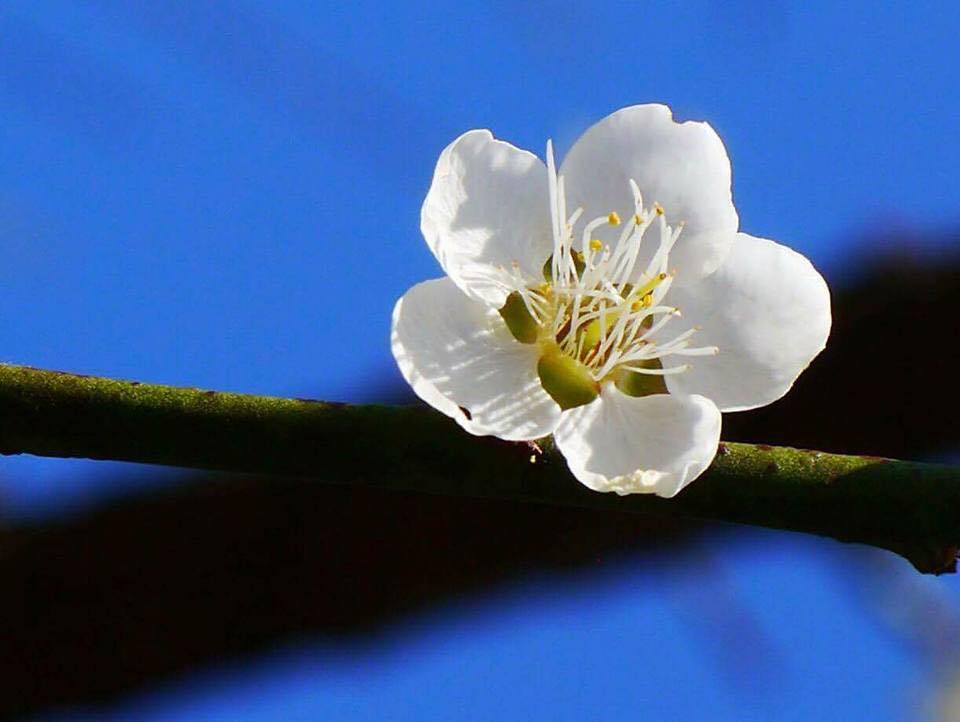 Chấp niệm càng lớn, đau khổ càng dày