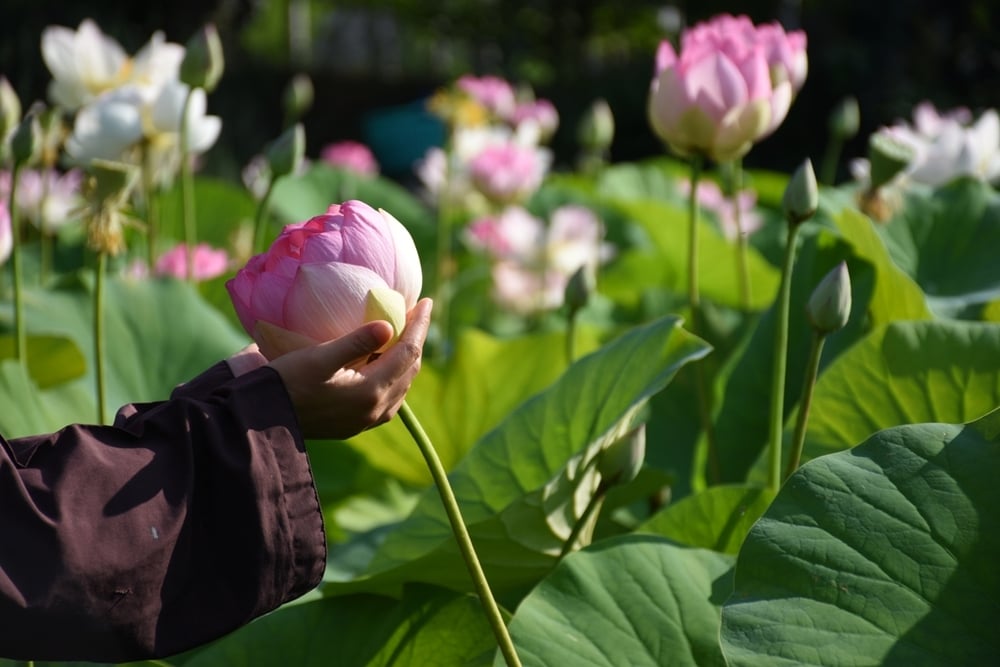 Đâu biết trước, cứ từ từ... đừng vội..!