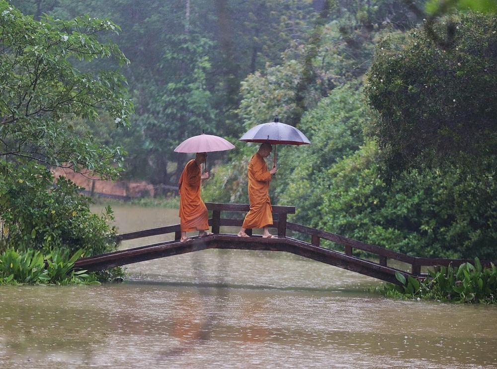 Có một niềm vui nuôi dưỡng thân tâm an tịnh, hướng đến an lạc dài lâuu