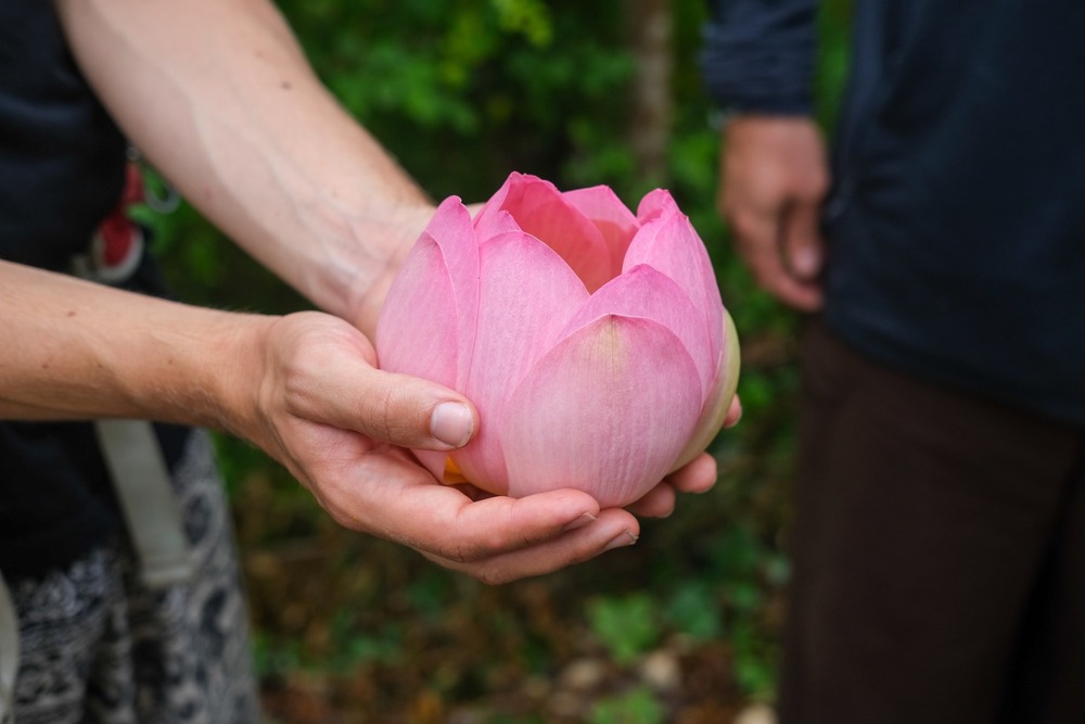 Đừng đem lỗi lầm của người khác để vào trong tâm mình