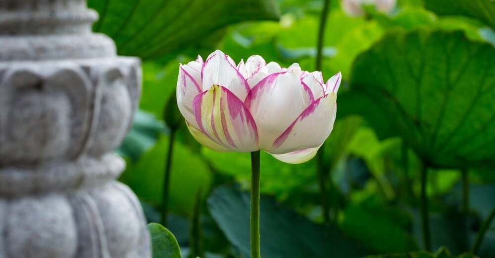 Tập sống biết đủ